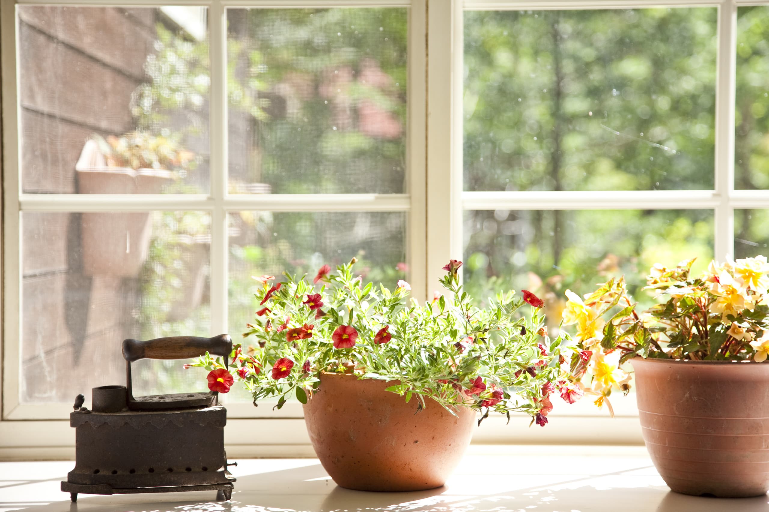 Top Pension Poetical Top Pension Poetical